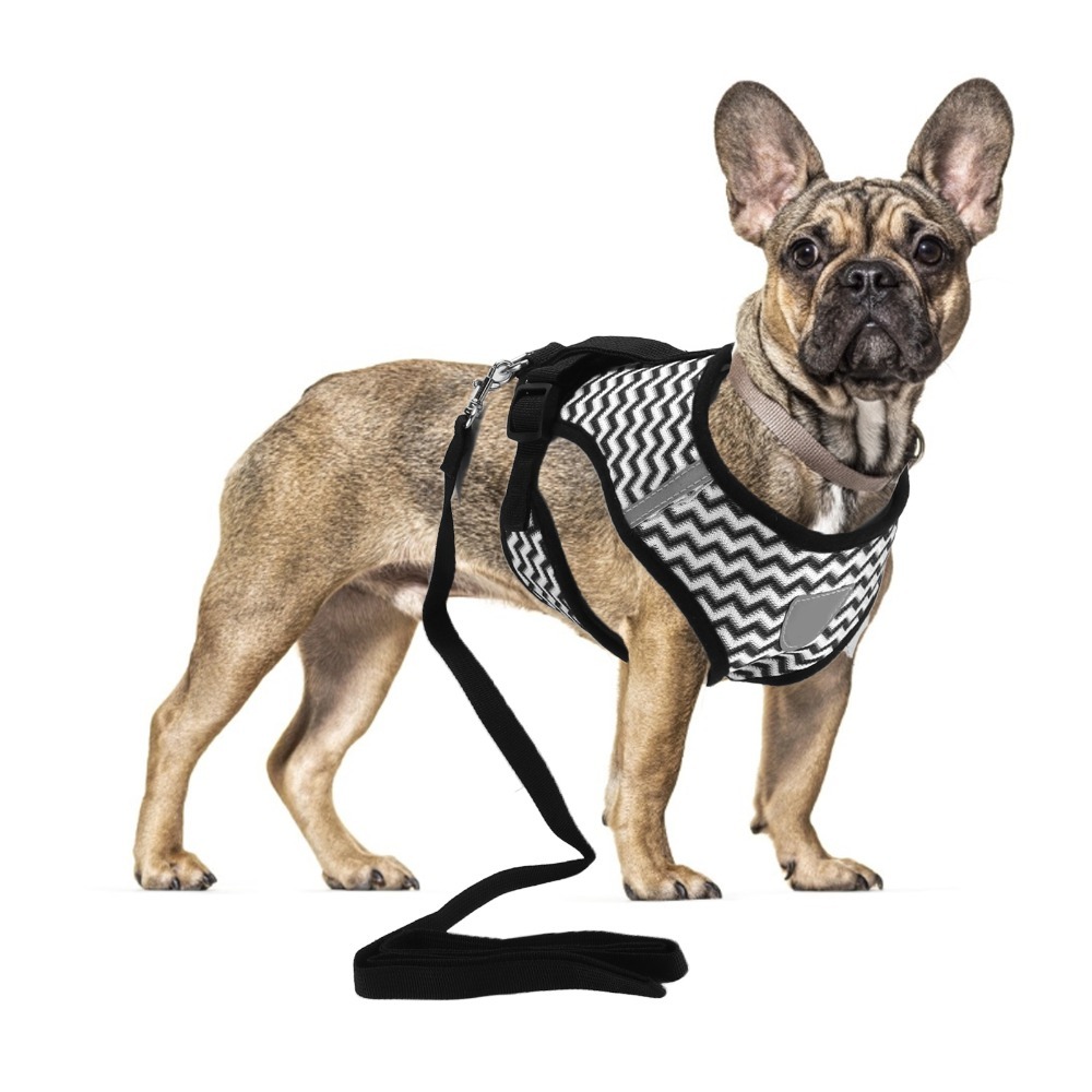 Conjunto de Coleira para Anima - Fabric Weight Set avaliação e preço